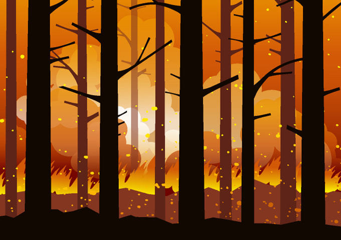 Forest fire