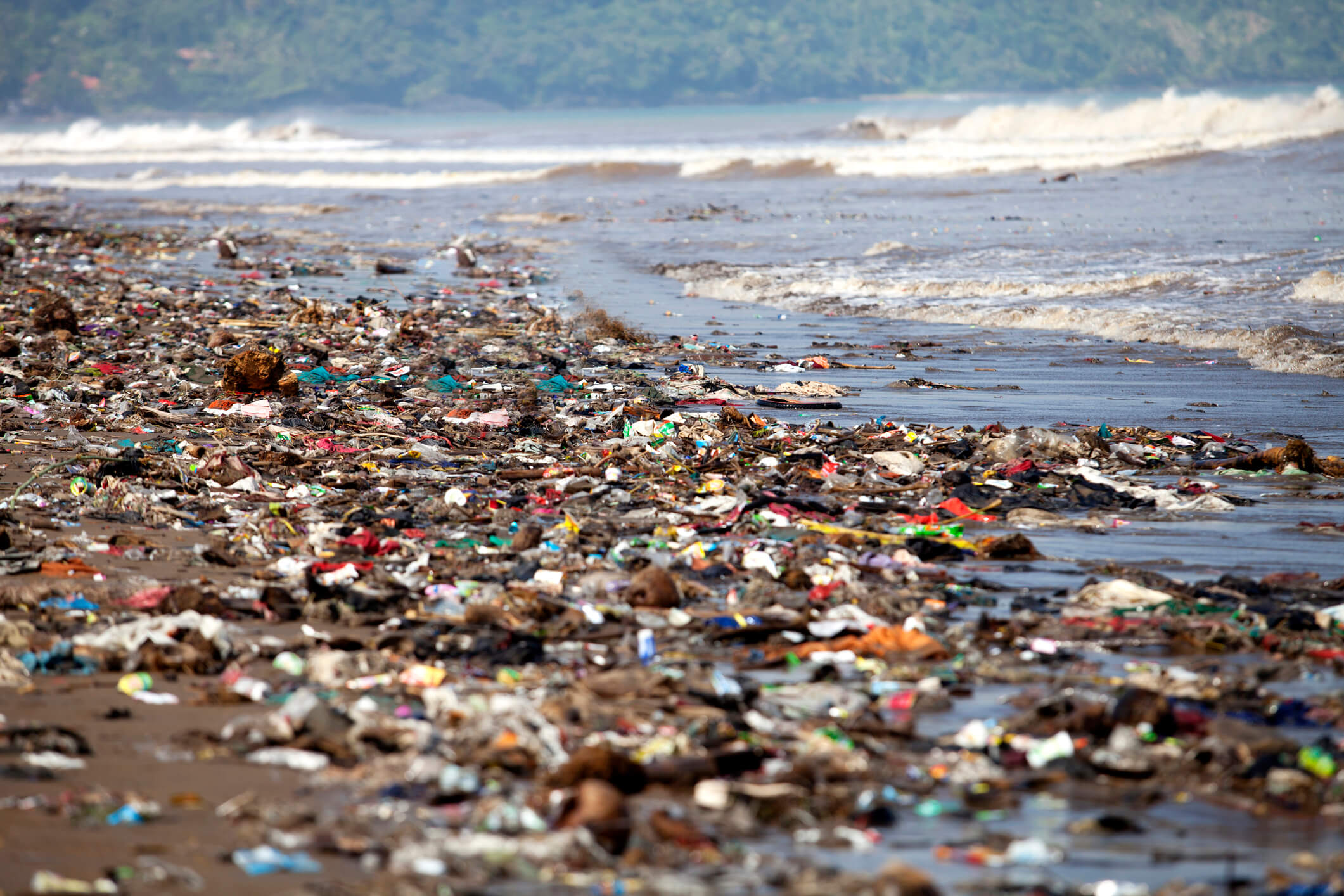 Contaminación Por Plástico